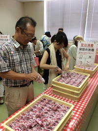 忠綱寺旅行会（山梨：ぶどう狩り）